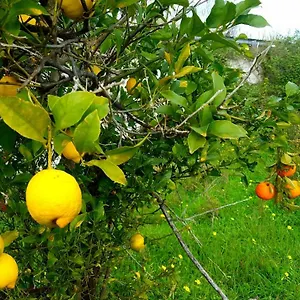 *** Bed & Breakfast Archimede Vacanze Italy
